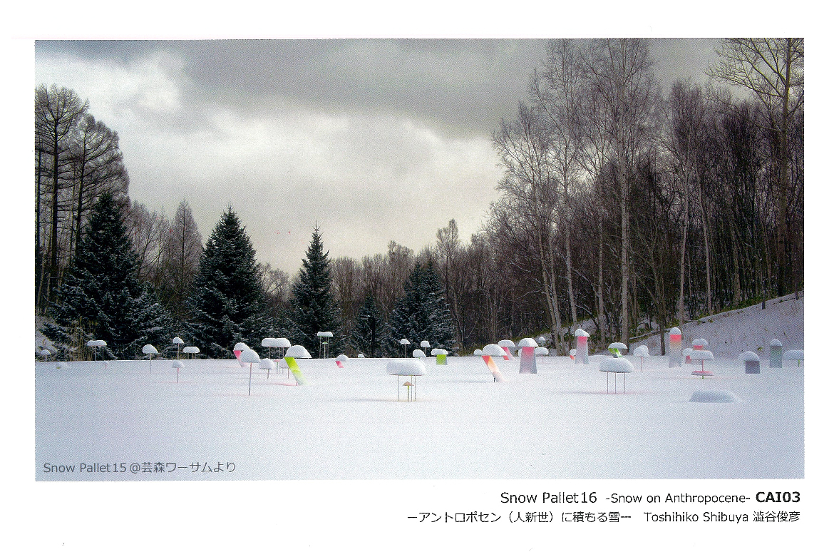 澁谷俊彦学校長『Snow pallet 16 -アントロポセン（人新世）に積もる雪